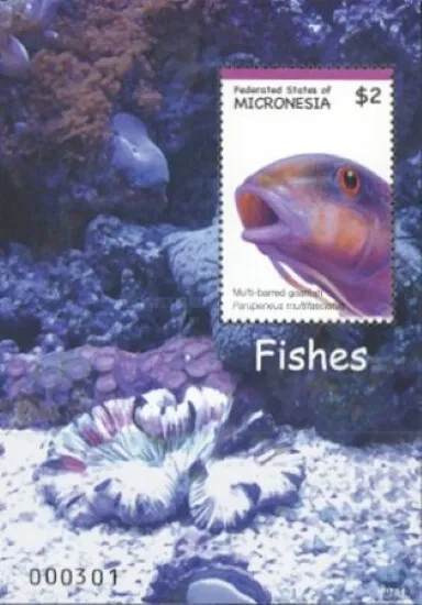 Micronesia 2007 - $2.00 Fishes Miniature Sheet - MNH