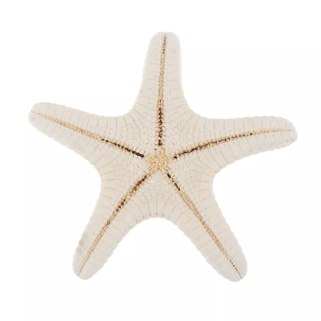 Starfish Crafts Decor Starfish DIY Shell Sea Fish Party Beige Starfish Decor G1