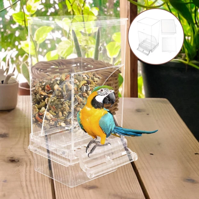 Curated visual reference: Automatic Parrot Feeder Bird Cage Feeder Bird Cage Feeder Pigeon Photo Inspiration