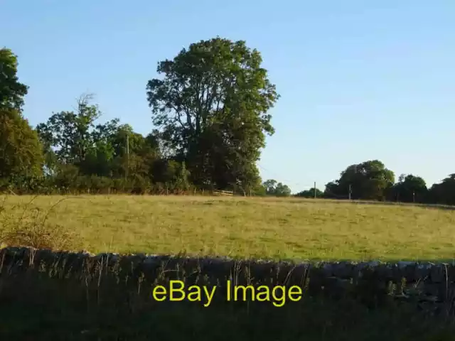 Photo 6x4 Grazing near Kenmore Barnard Castle  c2021