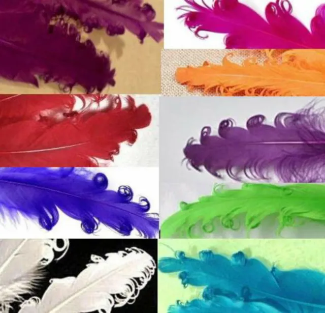 6 Nagorie Curly Feathers Choose COLOR or MIX goose feather