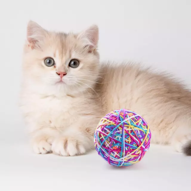 Kitty Ball jouet chat pompon balles exercice hochet balle pour Kitty lapin 2