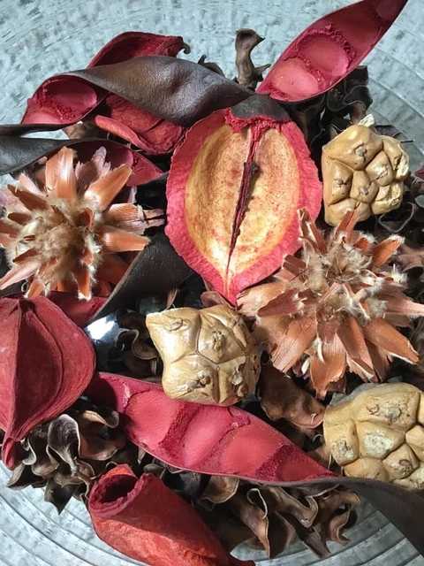 Relleno de cesta primitivo aceites esenciales vainilla canela aroma decoración rústica 5