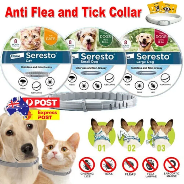 Anti Flea and Tick Neck Collar For Pet Dog Cat 8 Months Protection Adjustables