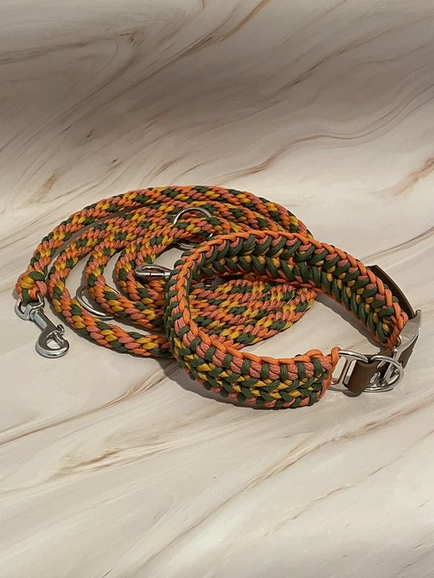 Paracord Hundehalsband Starter Set