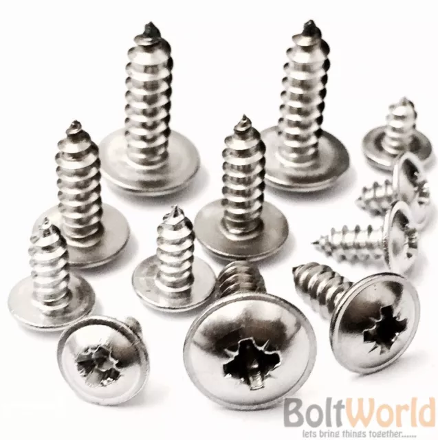 No.10 POZI FLANGE SELF TAPPING SCREWS A2 STAINLESS STEEL FLANGED TAPPERS