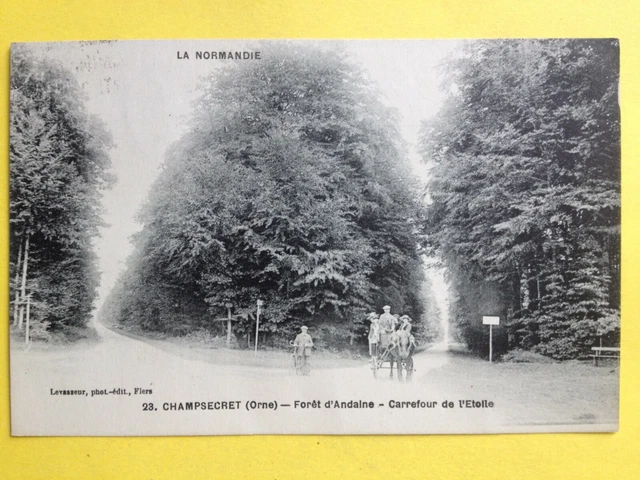 cpa Normandie 61 - CHAMPSECRET (Orne) FORET d'ANDAINE CARREFOUR de l'ETOILE