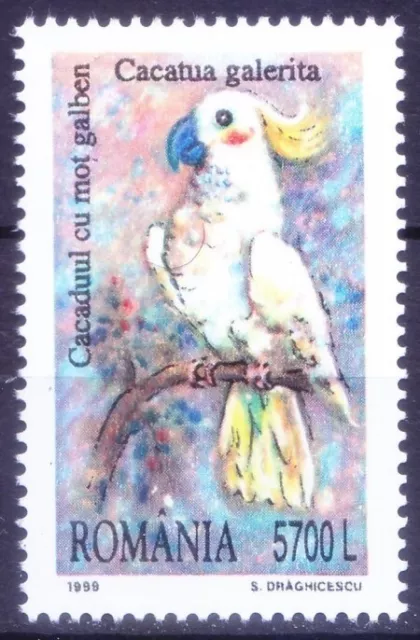 Rumania 1999 montada sin montar o nunca montada, cacatúa con cresta azufre, loros aves decorativas