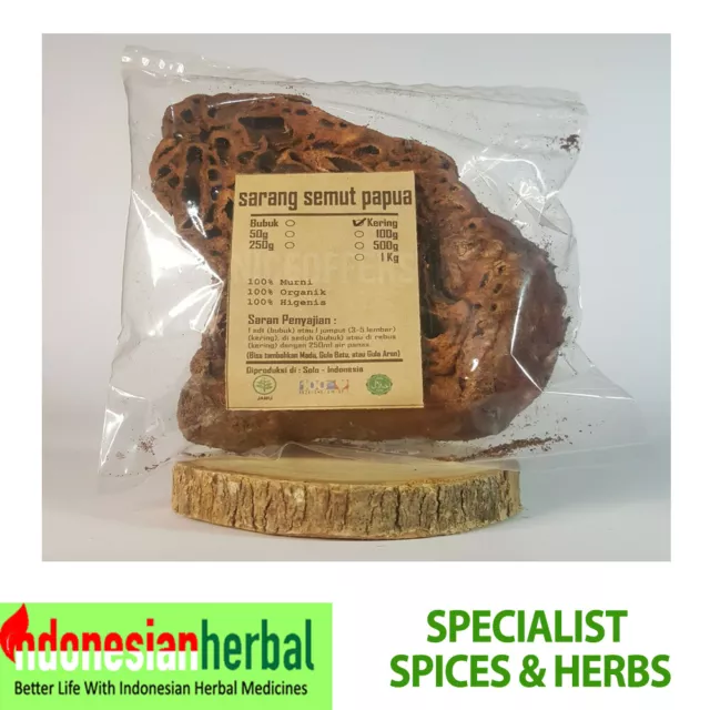 Ant's Nest Sarang Semut Dry Myrmecodia Organic Herb Spices Fresh Pure Premium