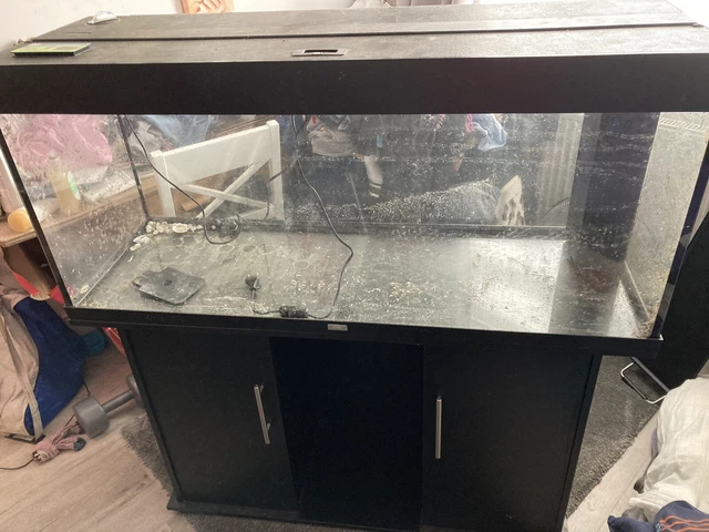 Juwel Aquarium fish tank