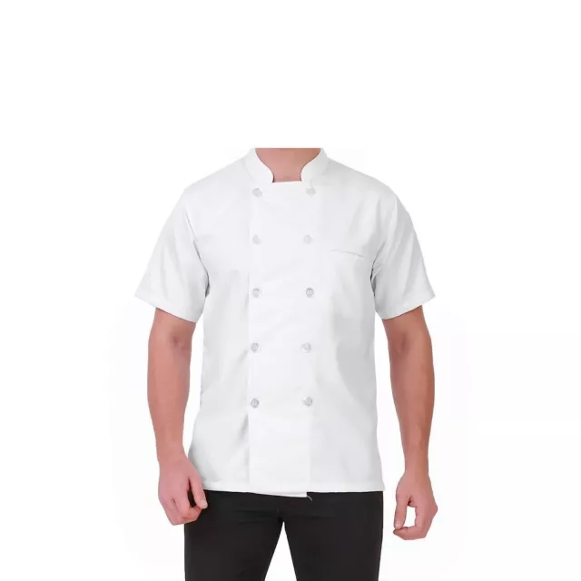 Traditional Simple Stylish White Half Sleeves Chef Coat Large 40 For Men