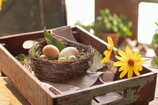Salvare Set 2x Osternest " Rustico " Nido Con Paglia, Naturzweige, Braun, Pasqua
