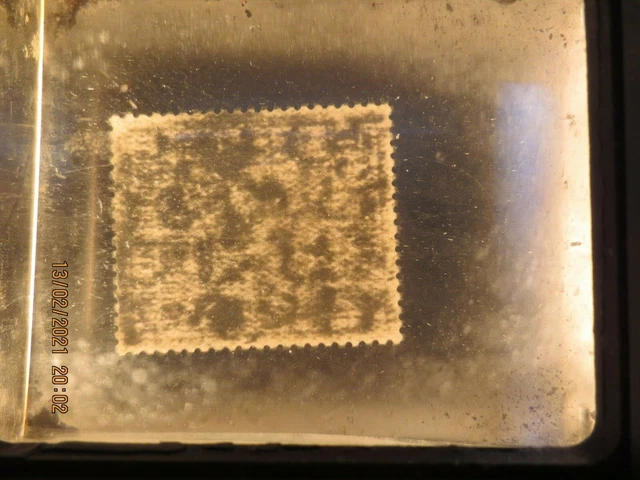 DDR 1953 MiNr 350 YII ** postfrisch seltenes Wasserzeichen 3