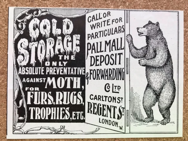 1899 Pall Mall Bear Cold Storage London England Victorian Print Ad 2T1-51