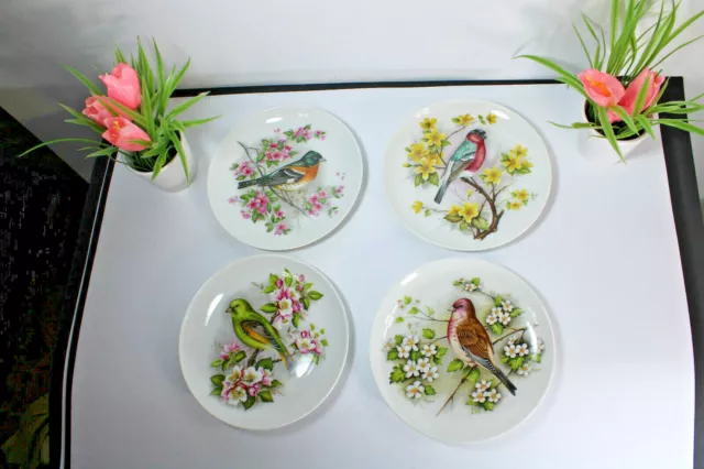 Set 4 Kaiser West germany porcelain birds plates hand paint signed 2