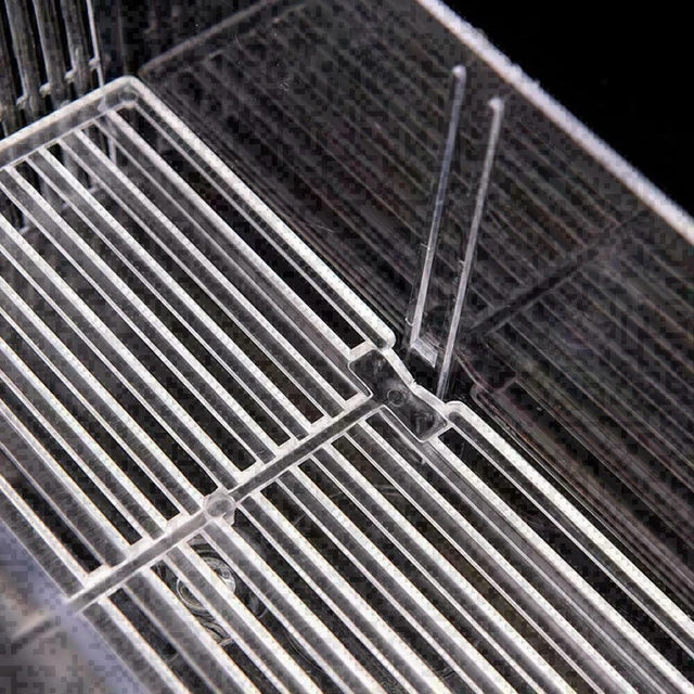 Aquarium Fish Tank Guppy Double Breeding Breeder Rearing Clear L6C0 K9W3 X8V1 5