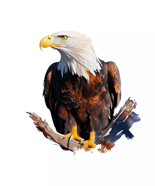 myrockshirt Syrien Wappen Adler Land Aufkleber Sticker Autoaufkleber  Größe+Farbe anpassbar!