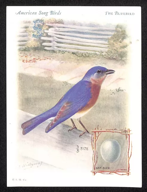 Singer Sewing Portable American Songbird Bluebird w/ Egg Trade Card c1927