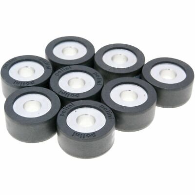 Arctic Cat Variorollen variomatikgewichte POLINI 25x17mm-14,0g-8stk AEON APRILIA 