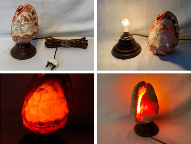 Antique Hand Carved Conch Shell Lamp, Desk Lamp, Side Table Lamp ~ Fully Working