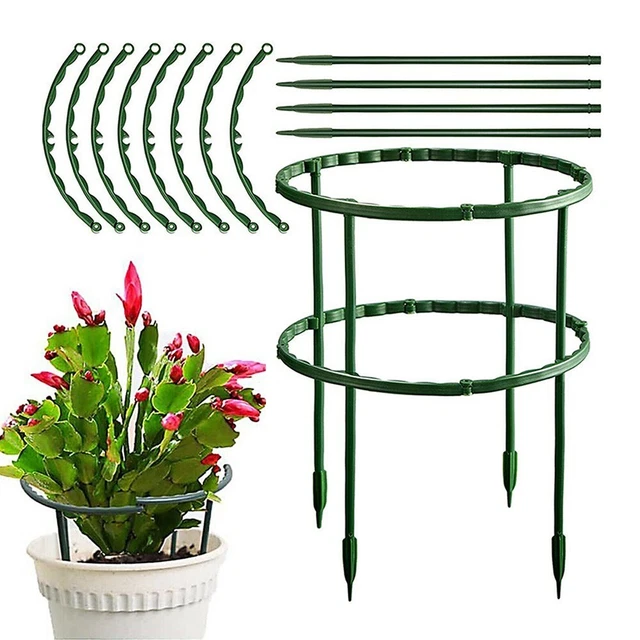 Kit 6 Cloches De Jardin Transparentes Avec Piquets Et étiquettes - Protection Contre Gel, Aération Réglable - Pour Semis Et Petites Plantes