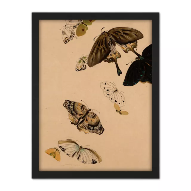 Zeshin Butterflies Japanese Laquer Painting Framed Wall Art Print 18X24 In