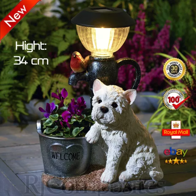 Robin solar light deals
