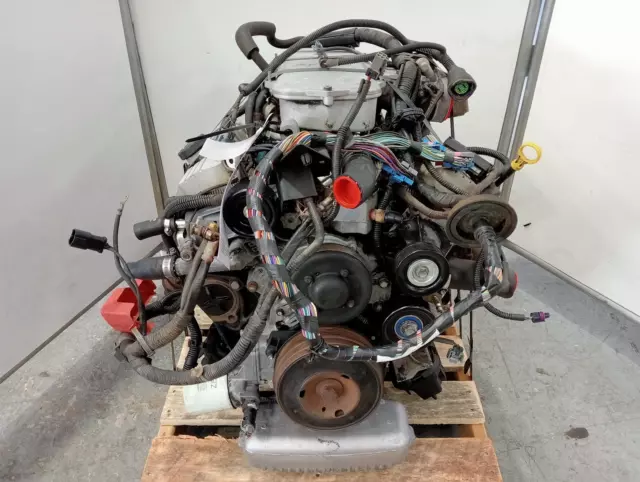 Holden Commodore Engine 3.8 V6, Ecotec, Vt-Vx, 09/97-09/02 1999 3800