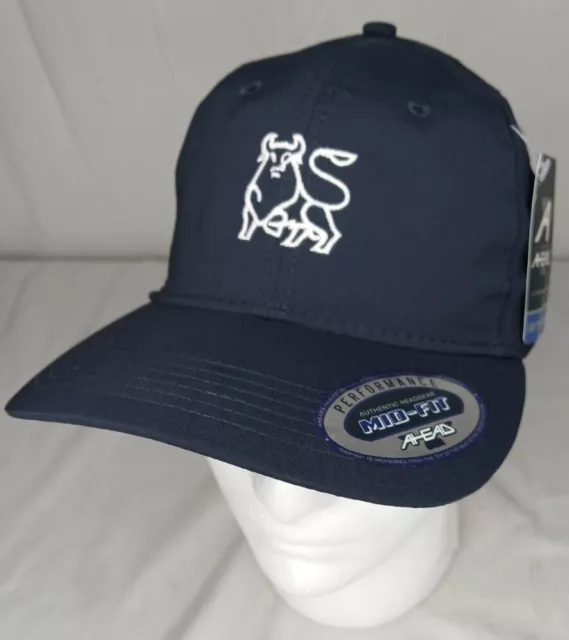 Merrill Lynch Golf Hat Bank of America Strapback Blue Embroidered Bull AHEAD Cap
