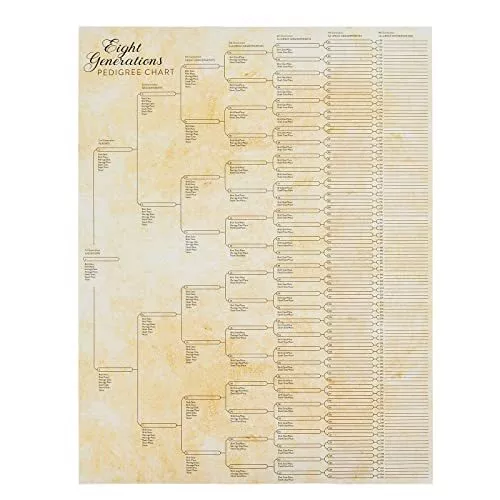 10 Pack of Large Family Tree Charts 18 x 24