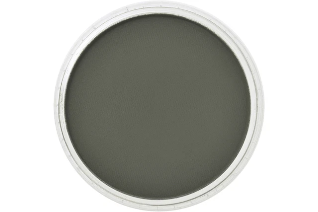 PanPastel Artists Pastel Óxido de Cromo Verde Extra Oscuro - 6601