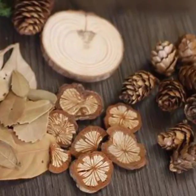 Wood Log Sticks Retro Smell-less Photo Props Pinecones Set Daily Supplies