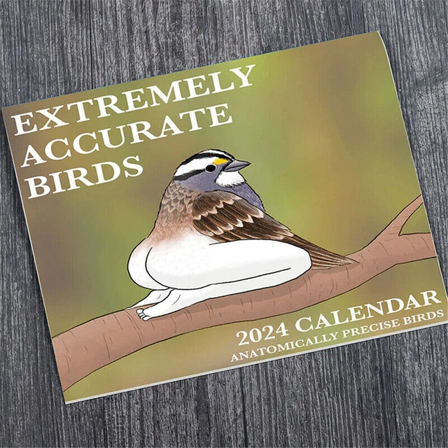 2025 CALENDAR OF EXTREMELY ACCURATE BIRDS 2025 Wall Calendars Home