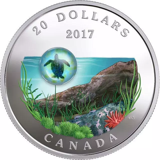 Canada - 2017 'Sea Turtle - Under the Sea' Colorized Proof $20 Pure Silver Coin