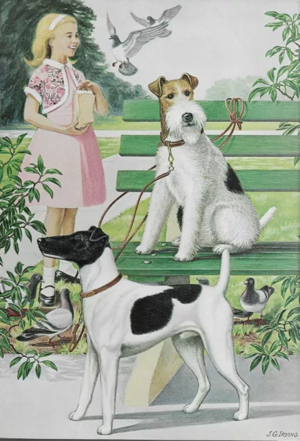 Fox Terrier Smooth / Wire - Vintage Color Dog Art Print - MATTED (Irving)