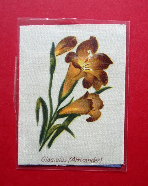 Imperial Tobacco Canada Scarce 1913 Tropical Plants Silk Gladiolus ( Africander)