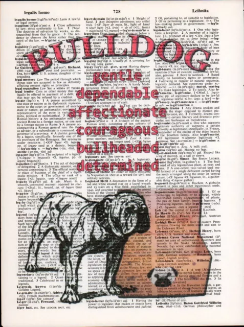 English Bulldog Traits Altered Art Print Upcycled Vintage Dictionary Page UGA