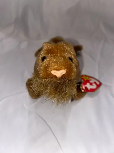 Vintage TY Beanie Babies Paul the Brown Walrus February 23, 1999