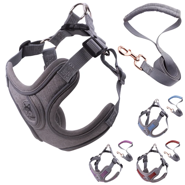 Dog Puppy Harness Leash Set Breathable Mesh Vest for Small Pets Outdoor Walking