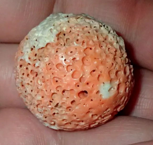 27mm Natural CORAL Bead, 9.65 Grams, #S6160