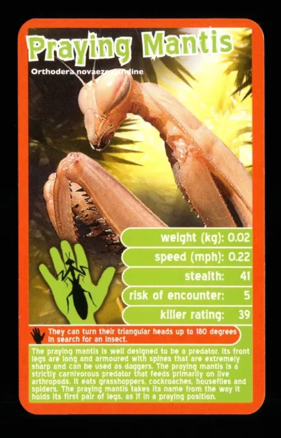 1 x info card deadliest predator Praying Mantis - R114