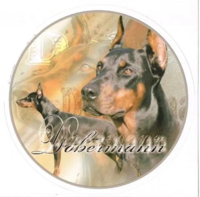 autocollants Design Dobermann 1 Doberman 15cm autocollants pour voiture