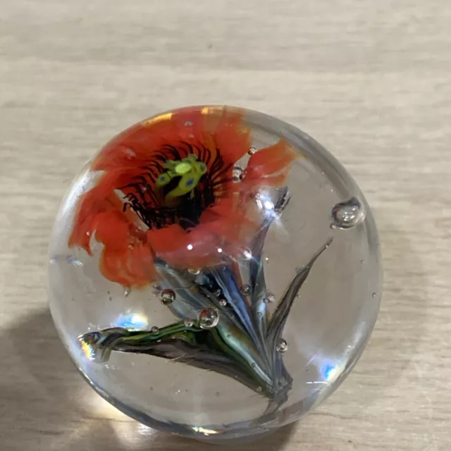 handmade art glass marble Beautiful California Poppy Single Flower In Clear Base 2