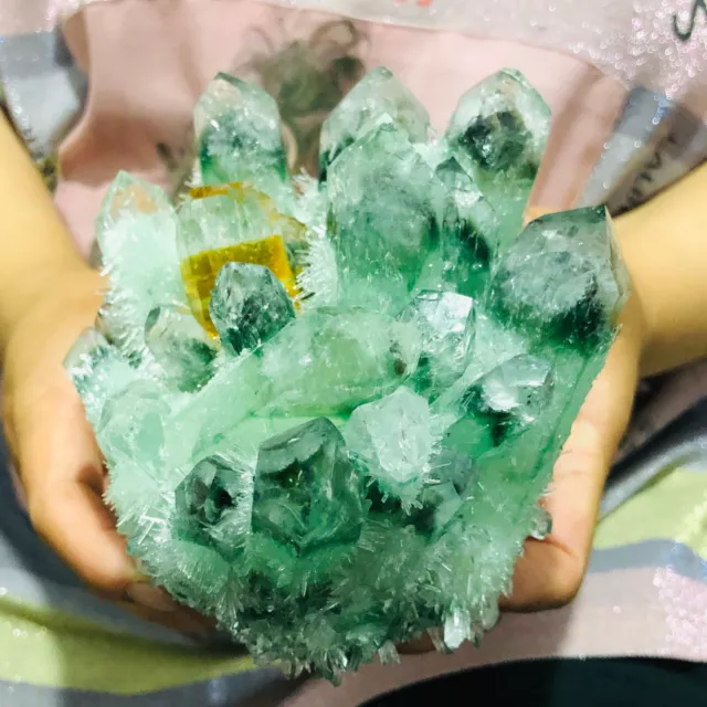 2.72LB New Find Green Phantom Quartz Crystal Cluster Mineral Specimen Healing