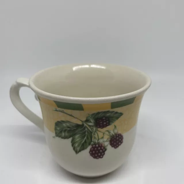 Churchill Somerset Fruits"  Tea / Coffee Cup. 3