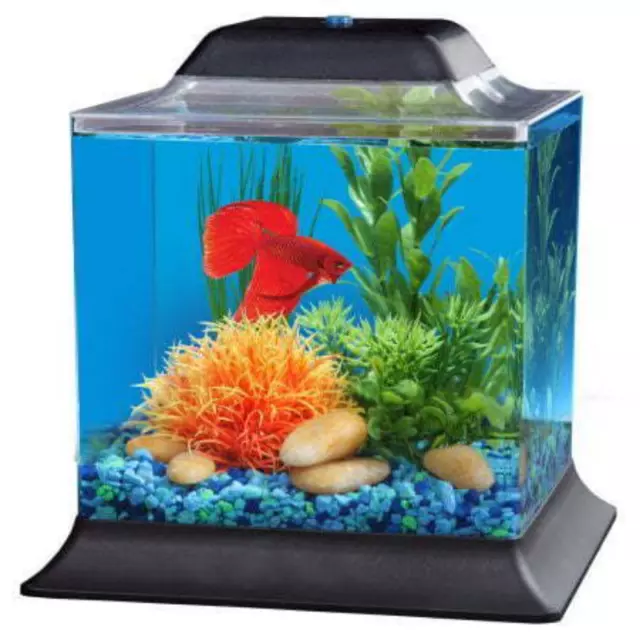 1.5-Gallon Betta Fish Tank Aquarium Kit with LED Lighting PLUS 5-Volt Adapter US