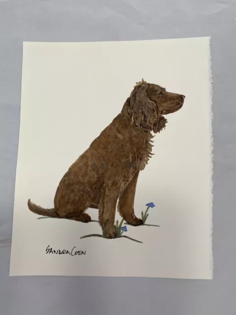 American Water Spaniel original watercolor by Sandra Coen