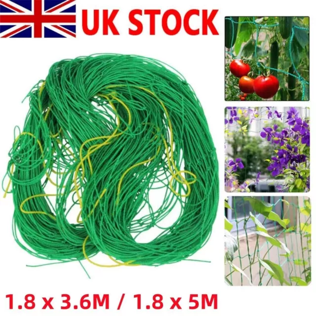 Plant Support Mesh Garden Net Vegetable Fruit Climbing Netting Pea Bean Trellis