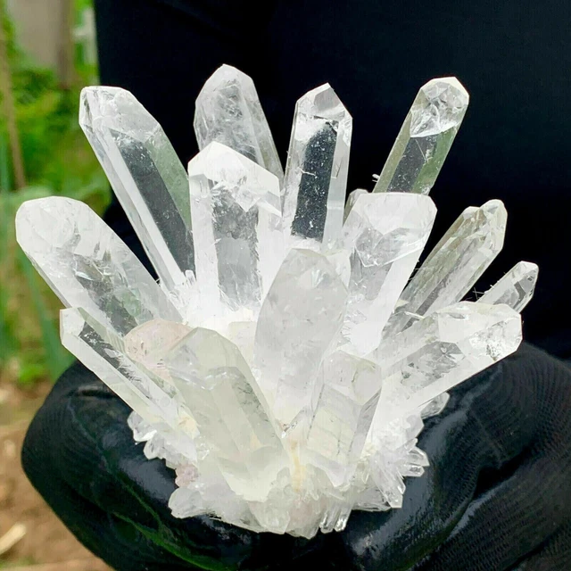 New Find white Phantom Quartz Crystal Cluster Mineral Specimen Healing 300g+/1pc 12