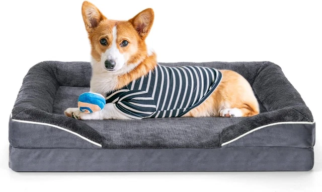 Arien Dog Bed, Dog Bed for Medium Dogs, Orthopedic Bolster Couch pet Bed
